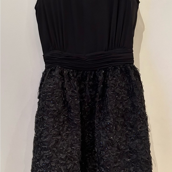 Black Sheer Sleeveless Dress - Picture 3 of 8